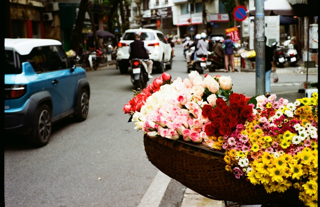 What Flowers Are in Season in May (And How to Make the Most of Them)