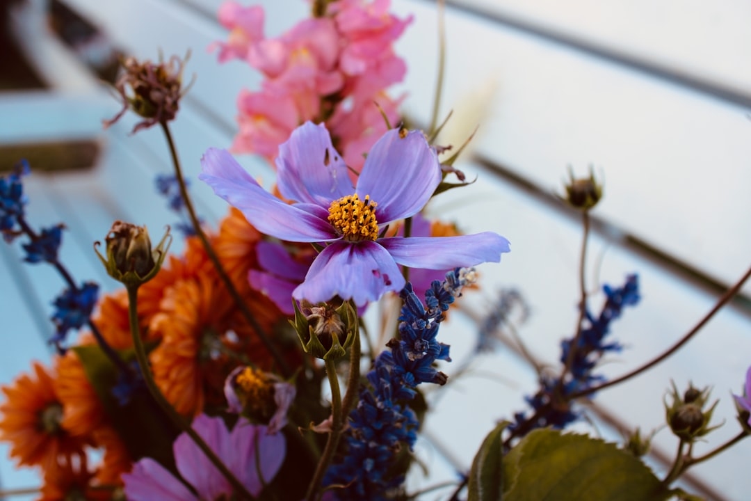 What Flowers Are in Season in August?