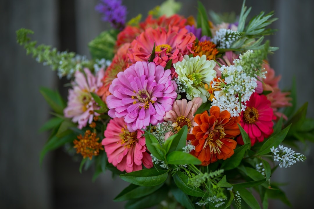 What Flowers Are in Season in June? Your Complete Seasonal Bloom Guide